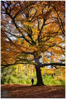 011+Lifestyle+photoshootDSC_0480