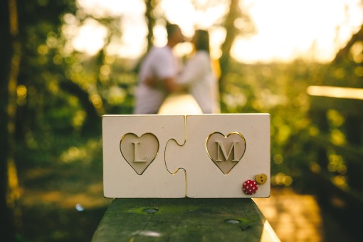 036 Laura & Michael engagement IMG_4894