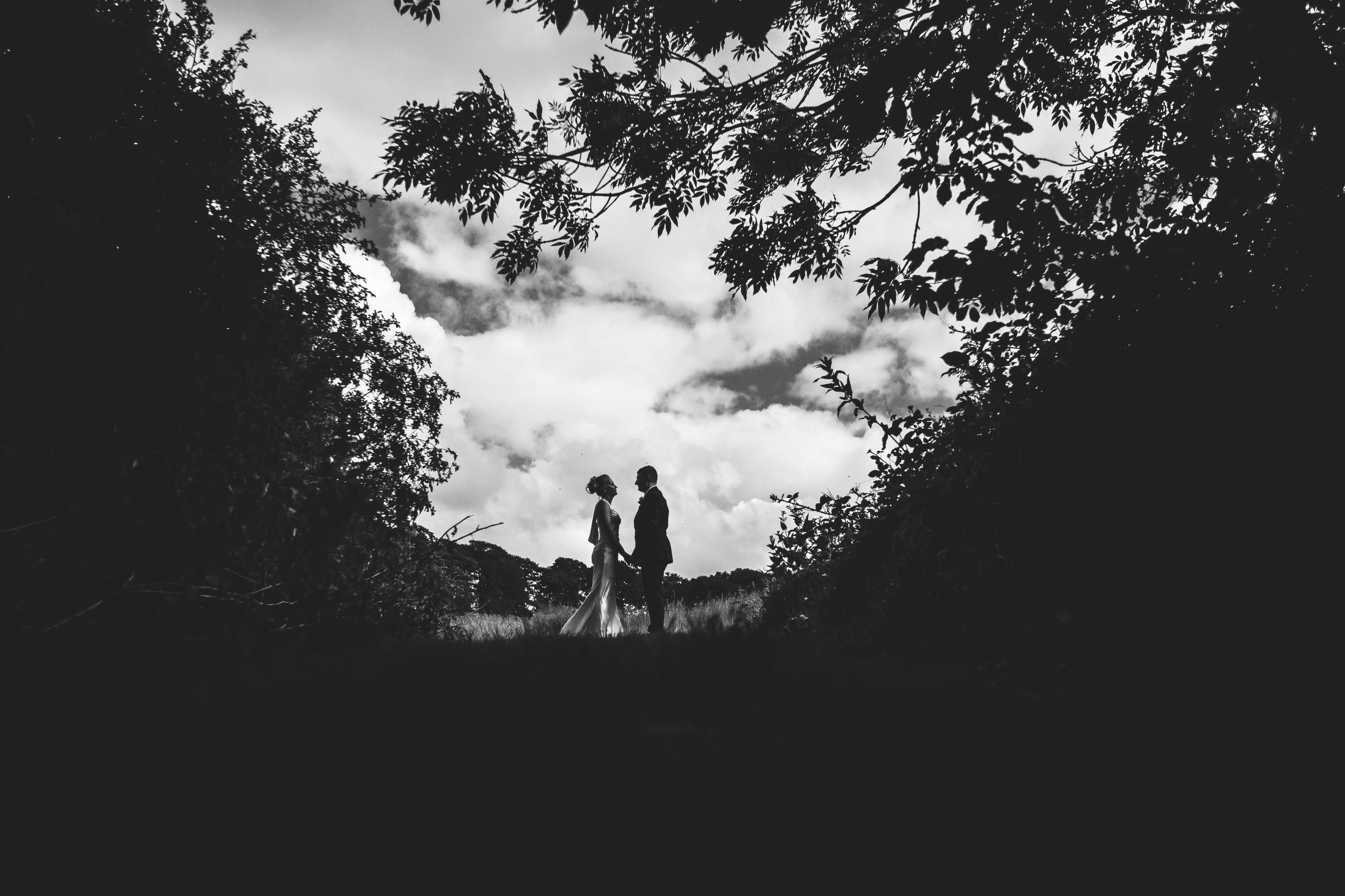 black & white silhouette portrait of bride and groom in a field surrounding by over hanging trees and cloudy skies